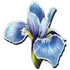 Ark Rare Flower
