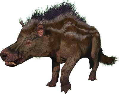 Andrewsarchus