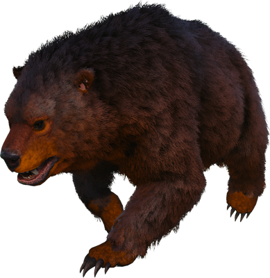R-Dire Bear