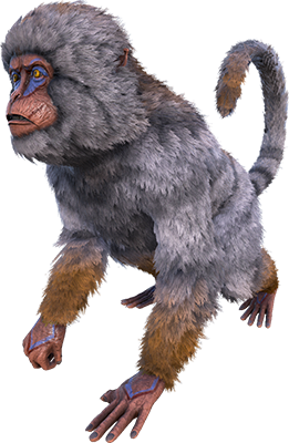 Mesopithecus