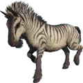 Aberrant Equus
