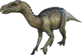 Aberrant Iguanodon