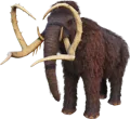 Ark Mammoth