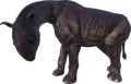 Aberrant Paraceratherium
