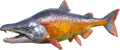 Rare X-Sabertooth Salmon