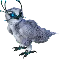 Ark Snow Owl