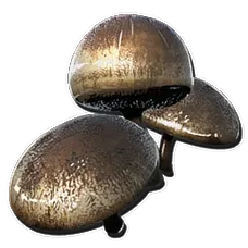 Aggeravic Mushroom