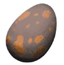 Amargasaurus Egg