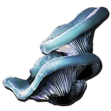 Aquatic Mushroom