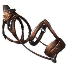 Chalicotherium Saddle
