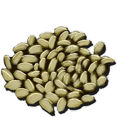 Citronal Seed (instant grow)