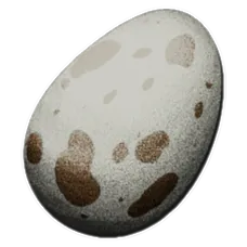 Fertilized Aberrant Dodo Egg