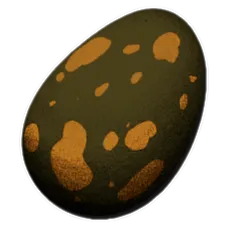 Fertilized Carbonemys Egg