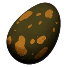 Fertilized Gen2 Turtle Egg