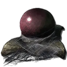 Fertilized Pulminoscorpius Egg