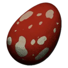 Fertilized Rex Egg