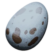 Hesperornis Egg