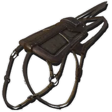 Ichthyosaurus Saddle