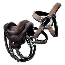 Procoptodon Saddle