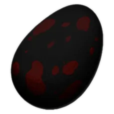 Raptor Egg