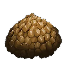 Rockwell Recipes: Egg-based Kibble