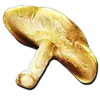 Auric Mushroom