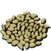 Citronal Seed (instant grow)