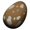 Ark Compy Egg