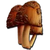 Ark Rare Mushroom